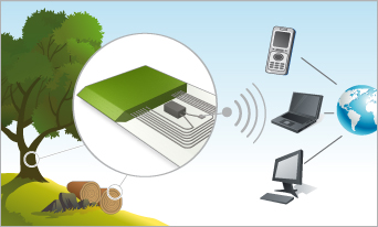 ASPISFMS is addressing the chain of custody process to deploy adequate forest management solution